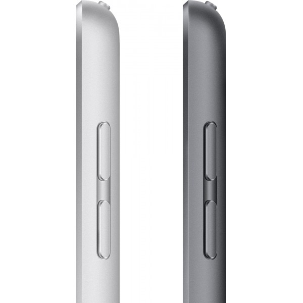 Apple iPad 9 10.2" Wi-Fi + Cellular 256 Gb Space Gray (MK693, MK4E3)