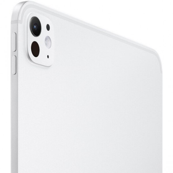 Apple iPad Pro 11" M4 (2024) Wi-Fi + Cellular 2 Tb Silver with Nano-texture Glass (MWRT3)