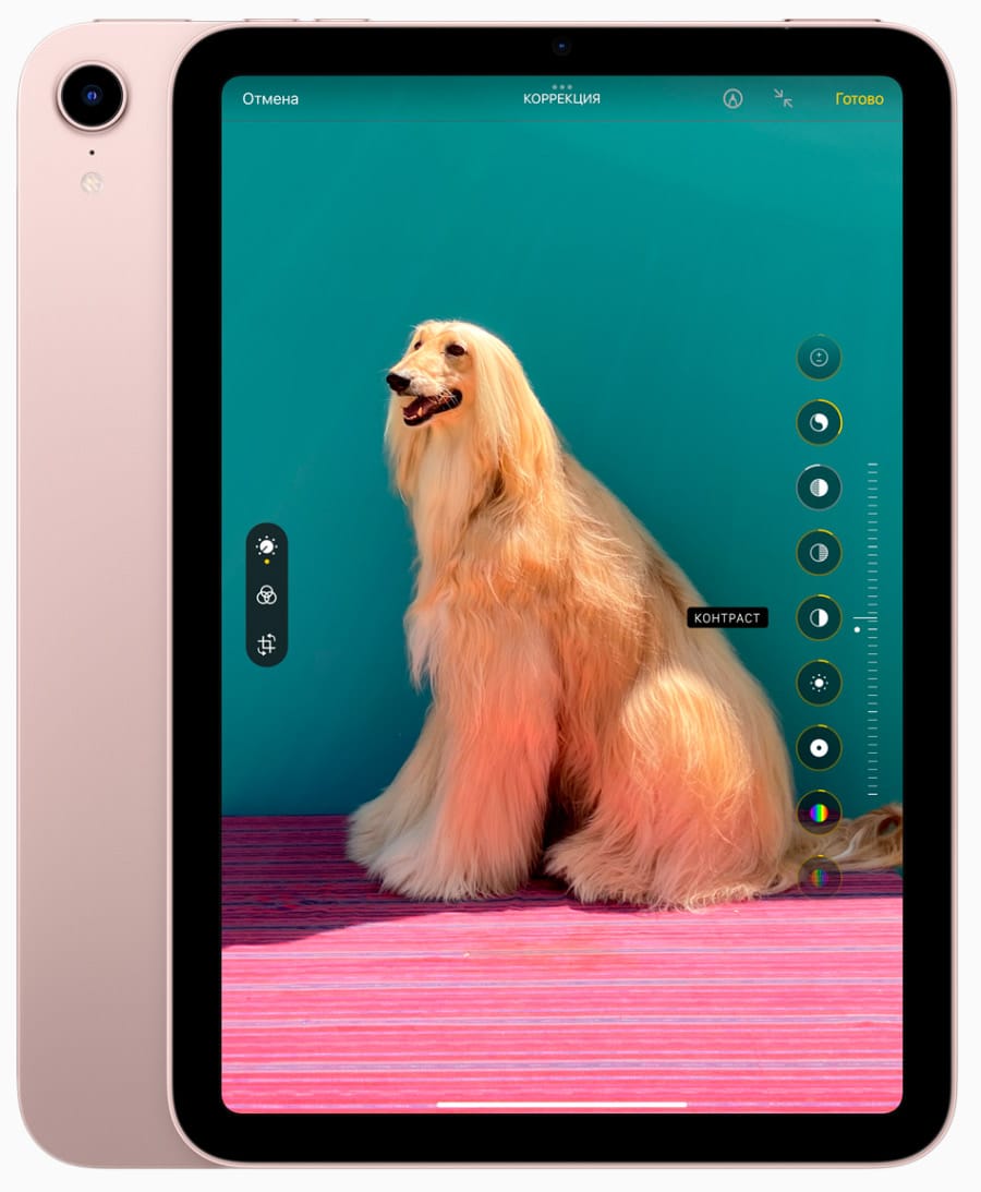 Камера в Apple iPad mini 6 Wi-Fi + Cellular 256 Gb Pink (MLX93) | znayomi.com