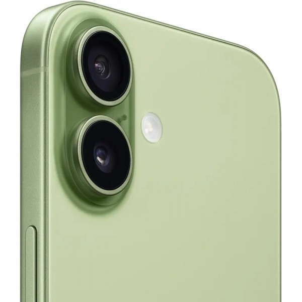 Apple iPhone 17 256 Gb Sage (MG6N4)