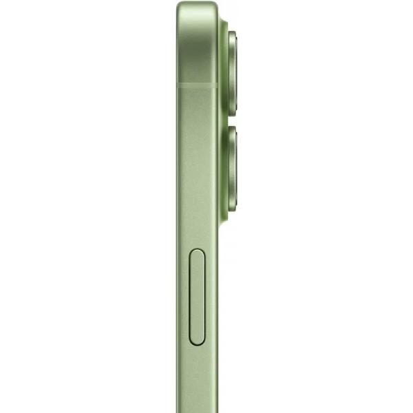 Apple iPhone 17 256 Gb Sage (MG6N4)