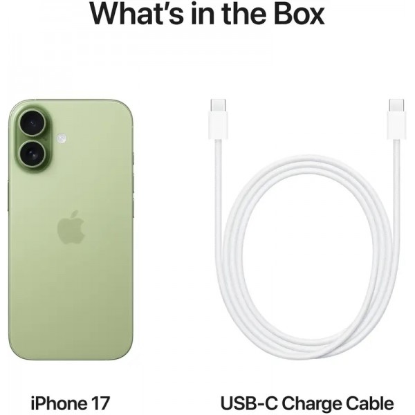 Apple iPhone 17 256 Gb Sage (MG6N4)