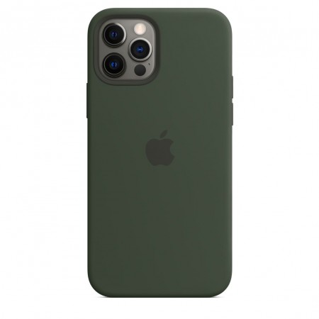 Silicone case для iPhone 12 Pro Max (Cyprus Green)