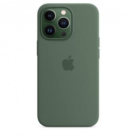 Silicone Case with Magsafe для iPhone 13 Pro Max (Eucalyptus)